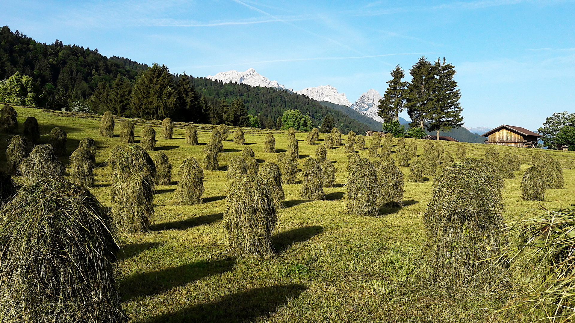 Heustanker am "Gstoag" Richtung Garmisch-Partenkirchen